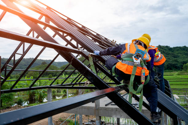 Best Shingle Roofing Installation  in Ama, LA