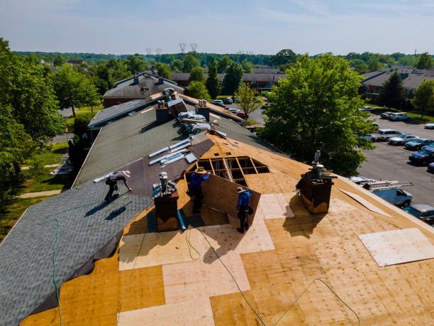 Best Commercial Roofing Services  in Ama, LA